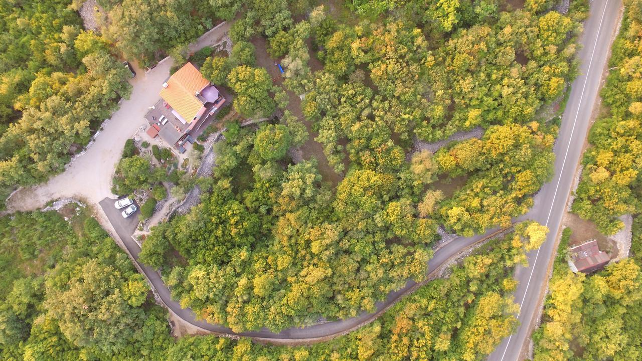 The Forest House Krk 1 Kras Dış mekan fotoğraf